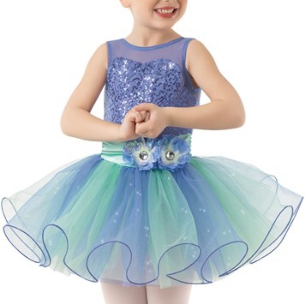 Weissman Cinderella Costume